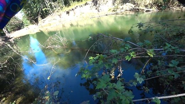 ловля голавля в горных реках на кубани смотреть онлайн