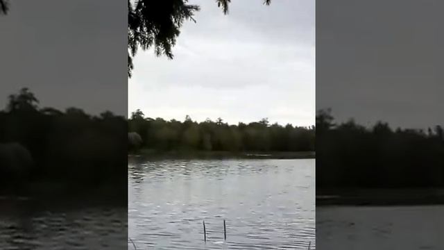 "Как день и ночь..." Поэт и режиссер - Ирина Эрман смотреть онлайн