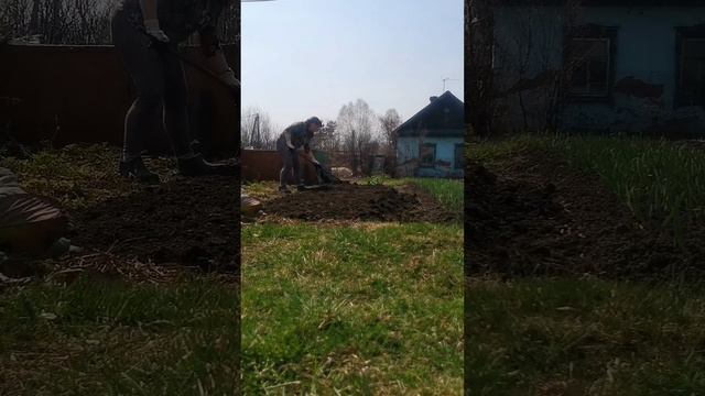 Огородные вредители #огород #дача #весна #дети #цветы #жизни #мамавдекрете #буднимамы #video #baby