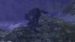 WoW Classic Official trailer High Quality