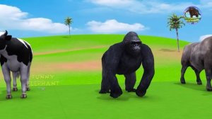 Animals Choose The Right Key With Elephant, Gorilla, Cow, Lion, Tiger, Wild Animals Matching Game