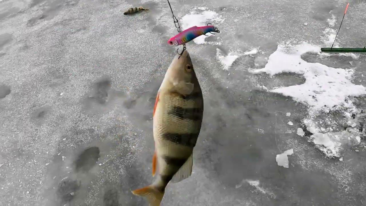 Грязнуха смотреть онлайн