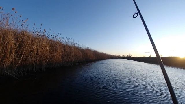 ЩУКА 1 декабря на меляках смотреть онлайн