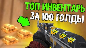 Сделал невозможное_ красивейший инвентарь на 100 голды_ ?