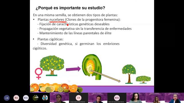 La Apomixis, reproducción que rompe paradigmas - Elisa del Carmen Martínez Ochoa смотреть онлайн