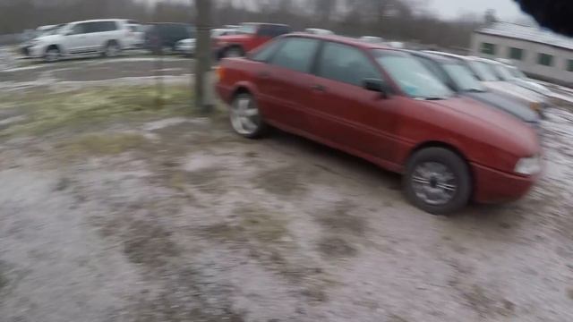 РАСПРОДАЖА конфискованных АВТО. БРЕСТ. 06.02.20. КУПИЛИ "Б2" ДРАКОН... НОВИНКИ так СЕБЕ... смотреть онлайн