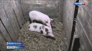 Смолянам рассказывают о преимуществах заключения социального контракта