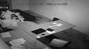 в офисе лопнул аквариум (600л)