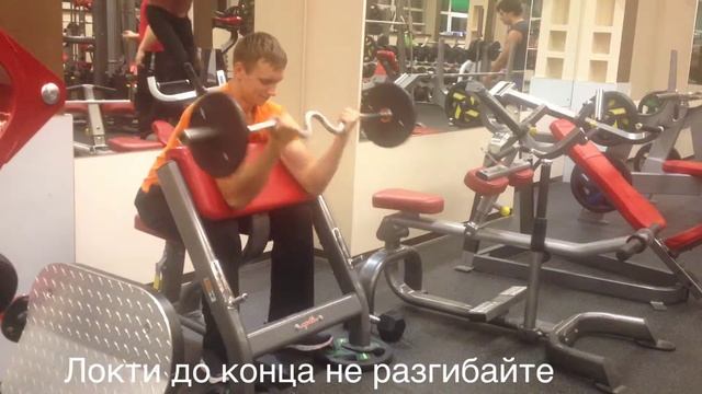 Сгибание штанги на бицепс в скамье скотта смотреть онлайн