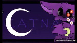 Кэт нап и я дог дей