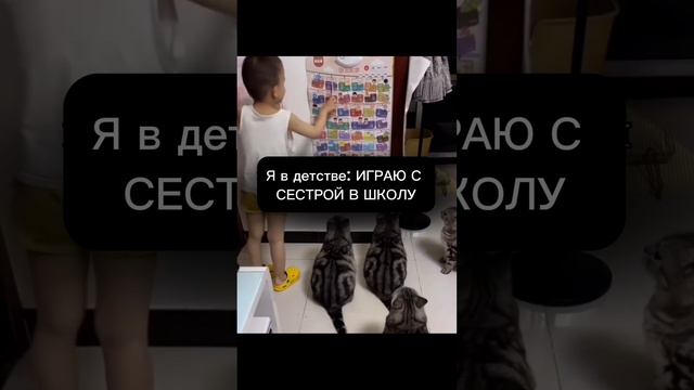 Почему я Проводник Света!?