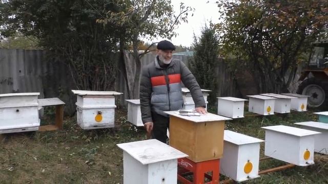 100 семей. МОЖНО ПРОЖИТЬ или НЕТ. смотреть онлайн