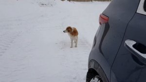 Переезд ? Погрузка вещей в контейнер.