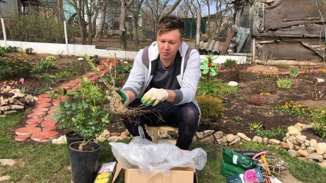 Интернет-магазин Подворье. Ужасные посылки с розами