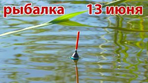 Жор крупняка после полудня на течении.Рыбалка на реке