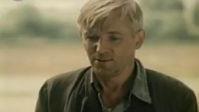 Не стреляйте в белых лебедей