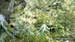 Национальный парк "Алханай" / целебный источник / взбираемся на 1600 м гору. #УНИКАЛЬНЫЙКРАЙ