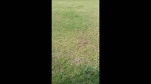 Truth or dare (ft Elise and Jamie)