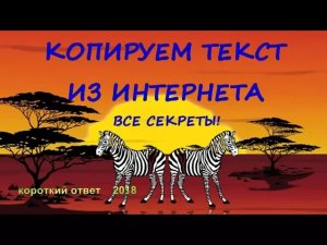 Копирование текста с интернета. Разбираемся с трудностями!