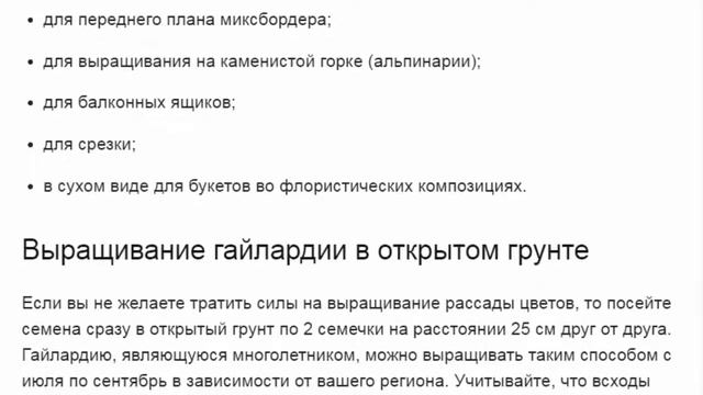 Гайлардия Лоллипап  Безрассадный способ выращивания