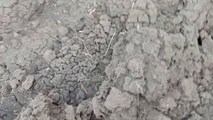 Купили Дом в Саратовской области