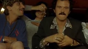 BLACK CAT WHITE CAT - Pitbull