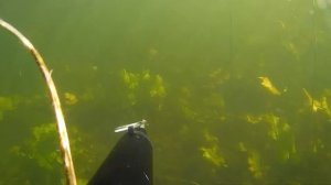 Река Савала в октябре