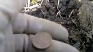 Поиск с металлоискателем в Тюменской области. Советские и царские монеты.