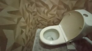 Когда очень мало места но хочется туалет!