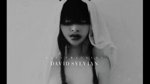 David Sylvian - Transit
