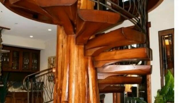 Корнепластика смотреть онлайн