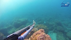 Ψαρεύοντας το MVD zeso carbon Invert Roller 75cm (Part 3) - Fishing with an MVD zeso Invert 75cm