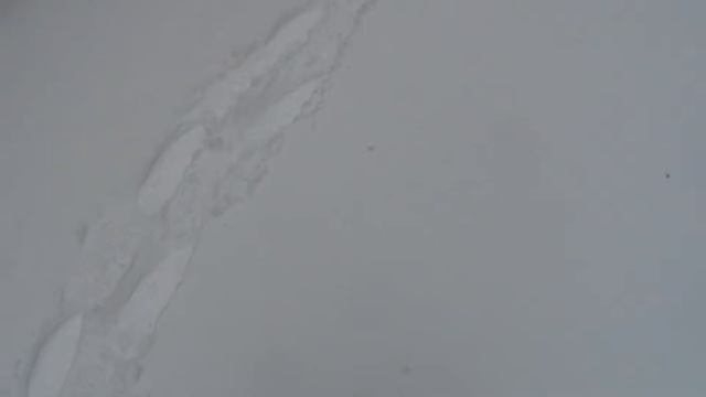 Снегоступы самодельные смотреть онлайн