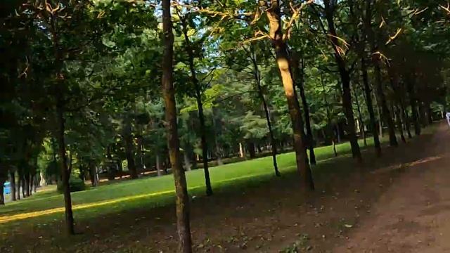 Красное село GH010465 смотреть онлайн