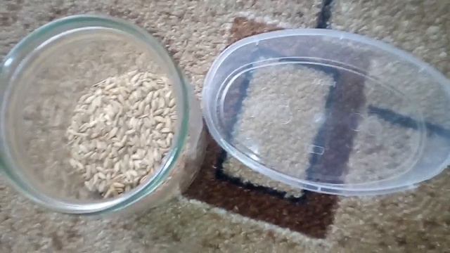Как сделать самодельный корм для хомячка /Хомячок ЛИМКА