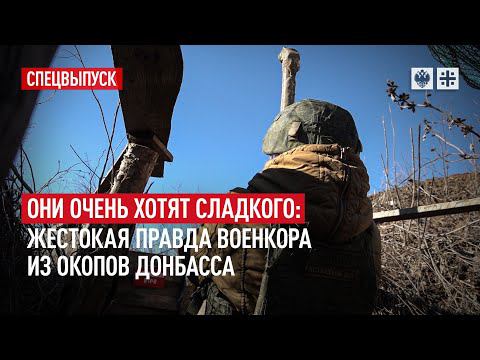 Они очень хотят сладкого: Жестокая правда военкора из окопов Донбасса