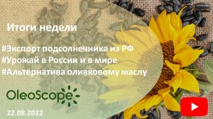 Итоги недели. Экспорт подсолнечника из РФ, урожай в России и в мире, альтернатива оливковому маслу