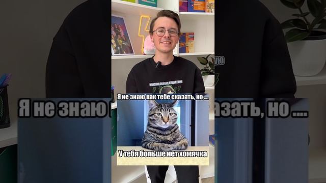 🐈#котики #права #человек #общество смотреть онлайн
