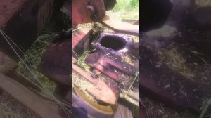 Нигрол своими руками, что делать если нет нигрола