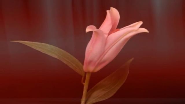 Поёт Валерий Сёмин. _НЕ УЕЗЖАЙ_. смотреть онлайн