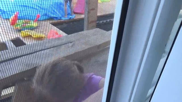 Проводили Ирину // Куда будут поступать Вика и Антон // 5.07.20. смотреть онлайн