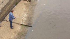 рыбалка в центре Великого Новгорода, подлещик на донку