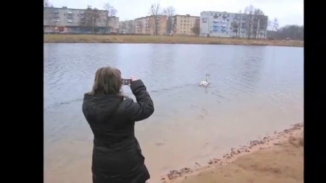Щучин: У озера