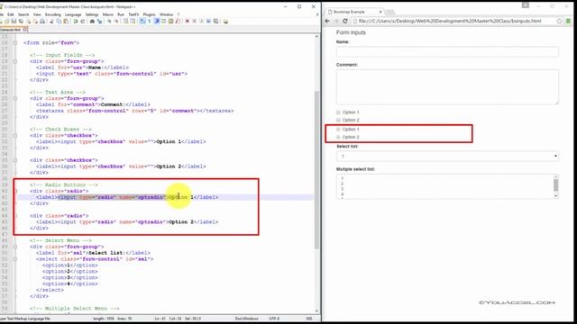 33. Bootstrap Inputs смотреть онлайн
