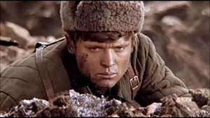 Любовь Нелен. ЮРИЮ БОНДАРЕВУ