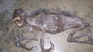 Самые ужасные находки археологов