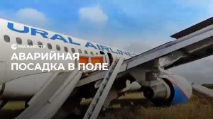 Экстренная посадка самолета в поле