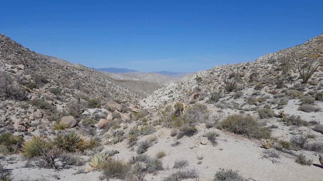 Nolina canyon east fork смотреть онлайн