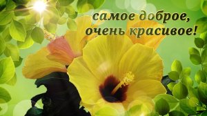 С днём рождения, Марина Игоревна! (2024)