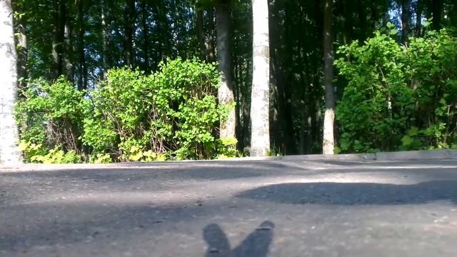 Мир людей глазами голубя смотреть онлайн